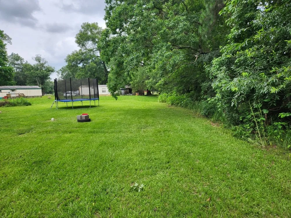 Local lawn care service for year-round maintenance in Porter, TX by LawnBugz Landscaping