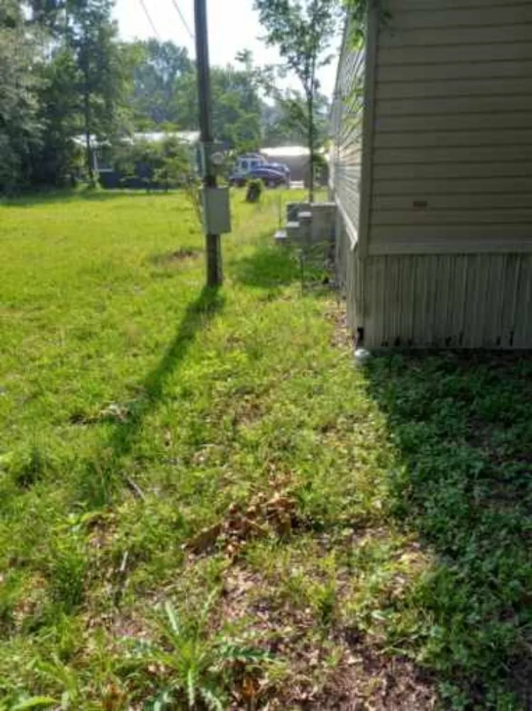 Expert residential landscaping with custom design in Porter, TX by LawnBugz Landscaping