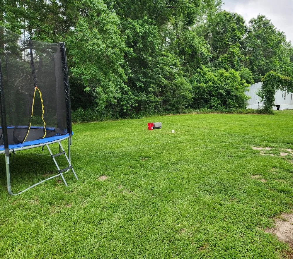 Affordable yard cleanup service experts serving Porter, TX - LawnBugz Landscaping