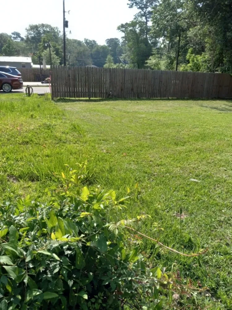 Professional lawn care service in Porter, TX by LawnBugz Landscaping