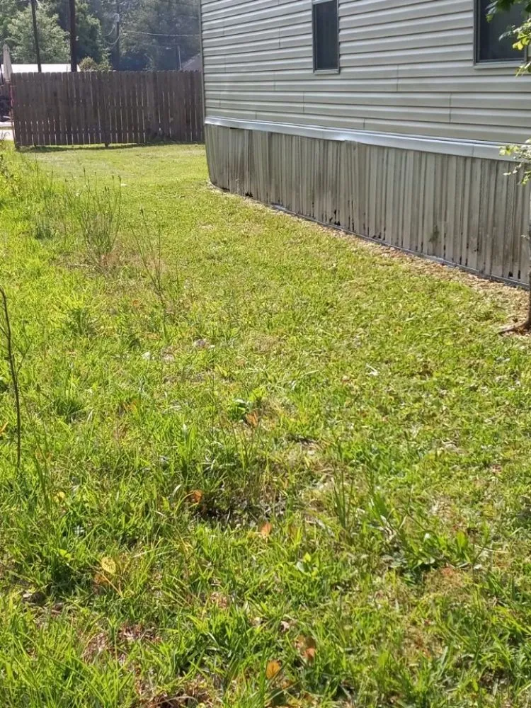 Top-rated outdoor landscaping for residential properties in Porter, TX by LawnBugz Landscaping
