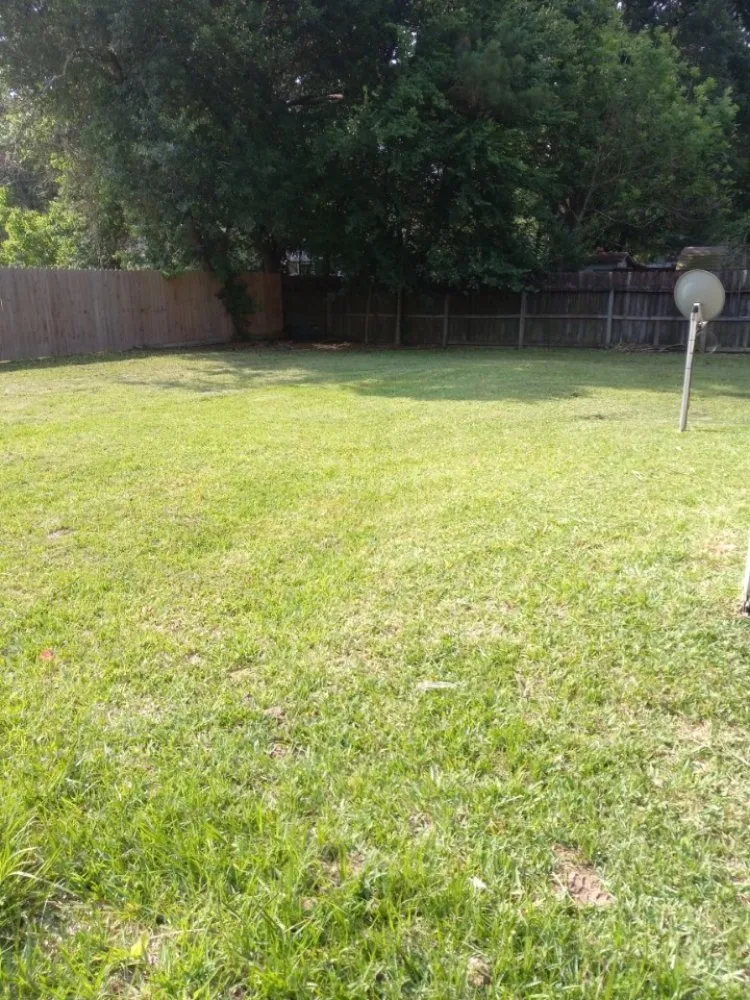 Expert yard cleanup service with custom design across Porter, TX - LawnBugz Landscaping