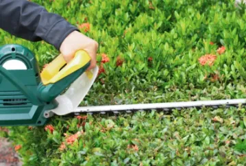 Trusted yard cleanup service for homes across Mobile, AL - Lawnbusters Landscaping