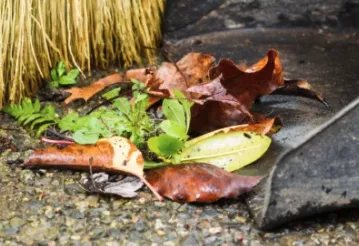 Affordable garden landscaping in Mobile, AL - Lawnbusters Landscaping