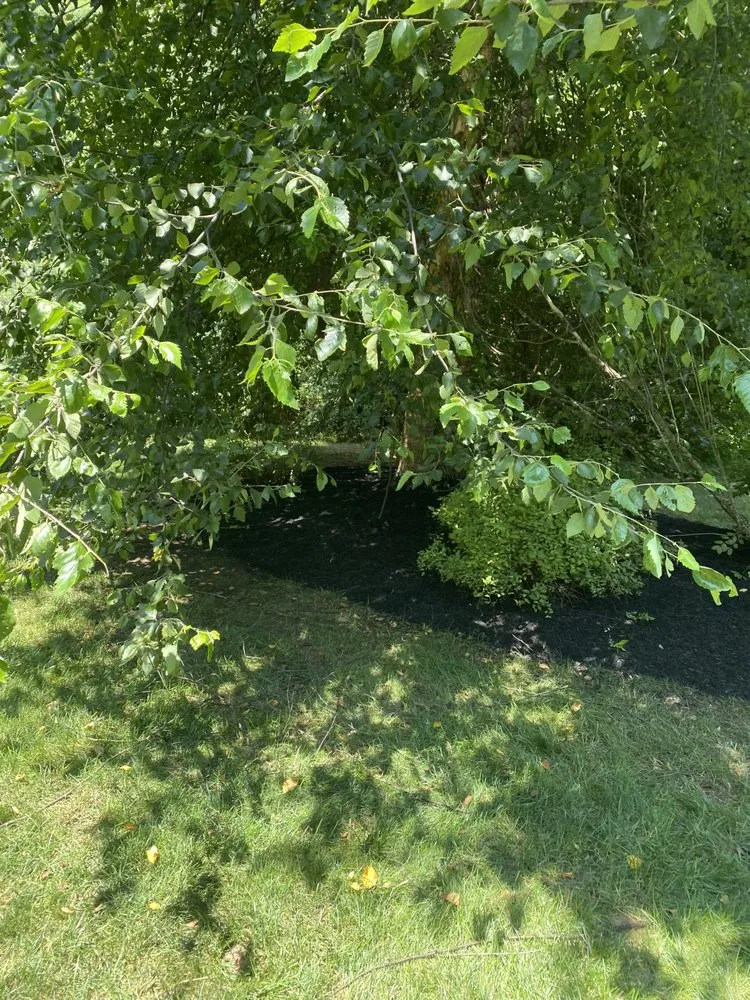 Expert lawn care service in Corinth, NY - Lawncare 518