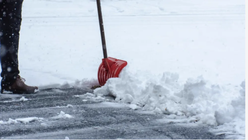 Expert lawn care service with custom design across Felton, DE - Lawncare Angels