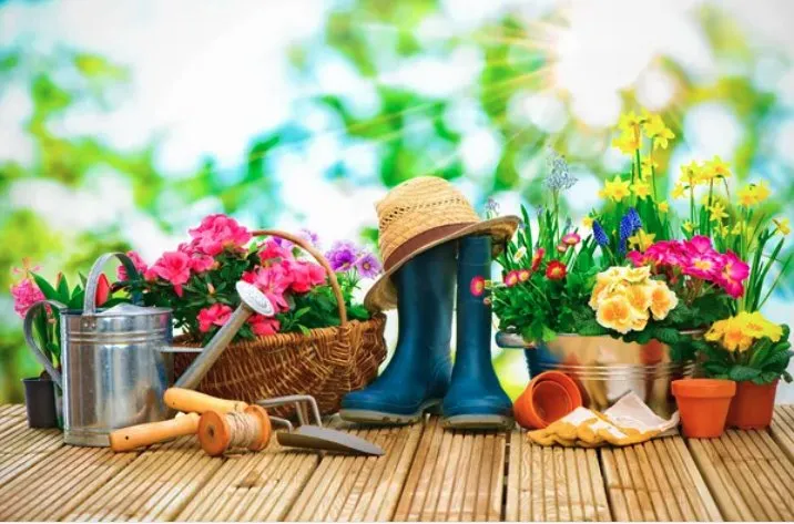 Affordable lawn care service in Felton, DE - Lawncare Angels