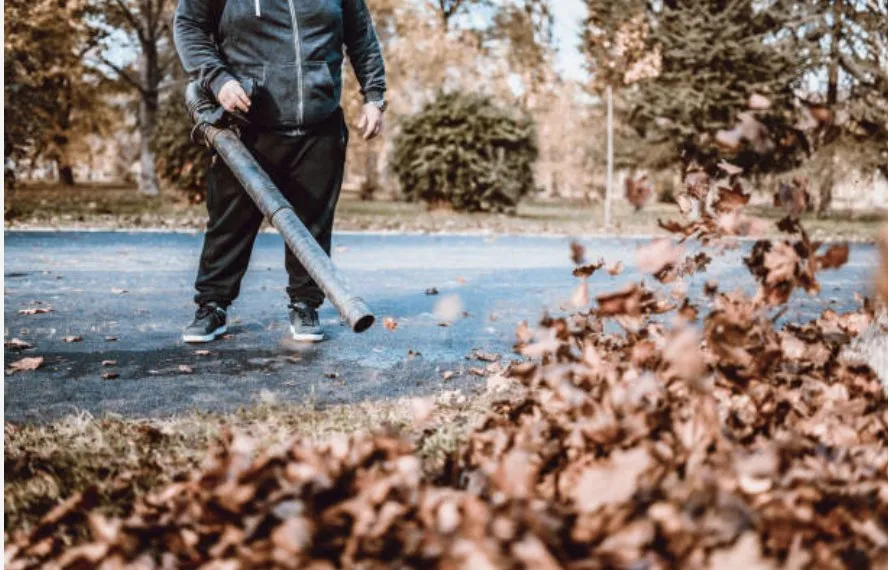 Expert landscape design in Felton, DE - Lawncare Angels