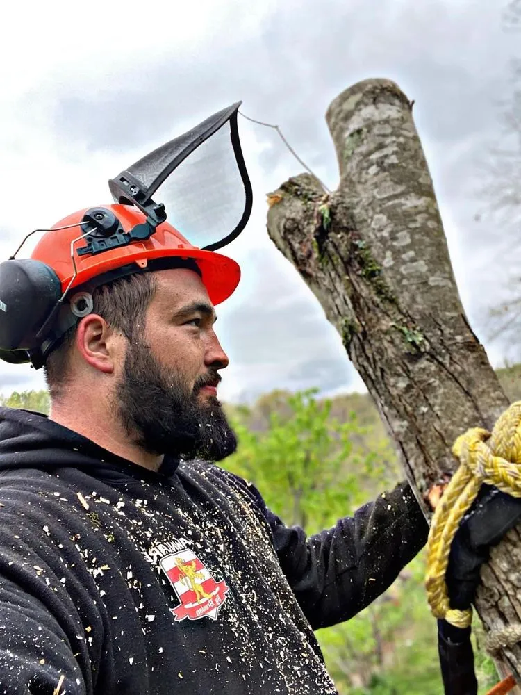 Top-rated lawn care service in Huntington, WV - Lawncare by Brandon Landscape & Tree Service