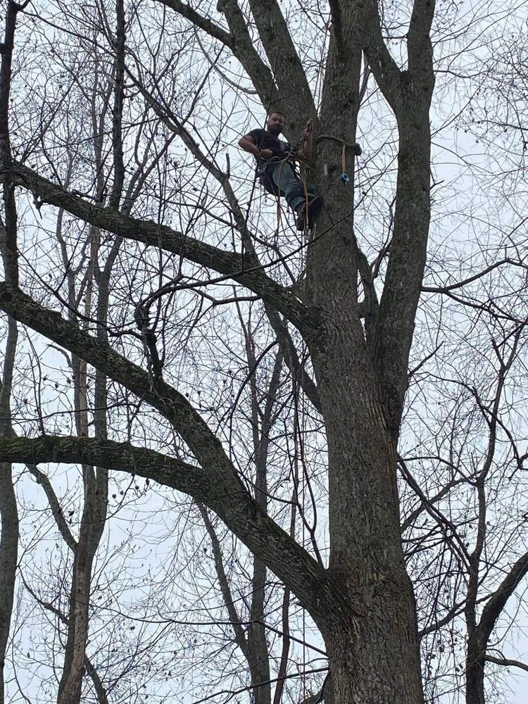 Reliable residential landscaping for residential properties across Huntington, WV - Lawncare by Brandon Landscape & Tree Service