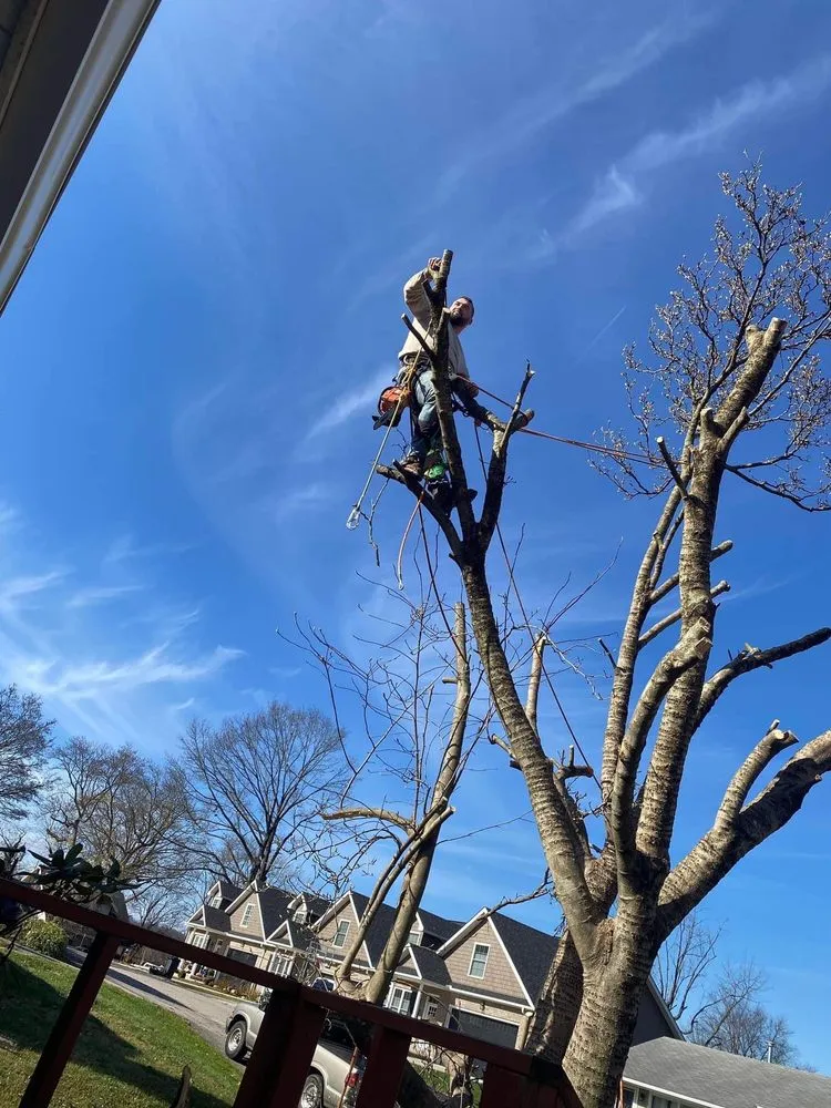 Affordable yard maintenance experts serving Huntington, WV - Lawncare by Brandon Landscape & Tree Service