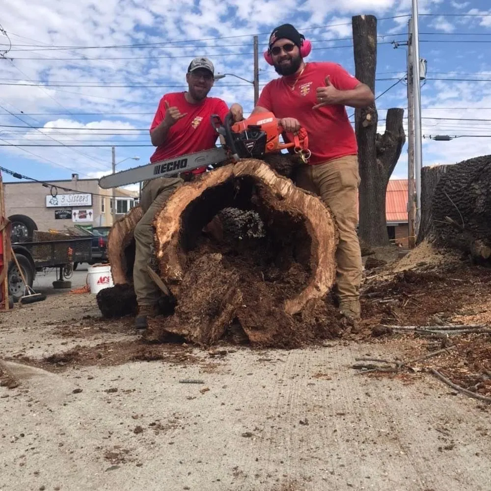 Expert garden landscaping for residential properties in Huntington, WV by Lawncare by Brandon Landscape & Tree Service