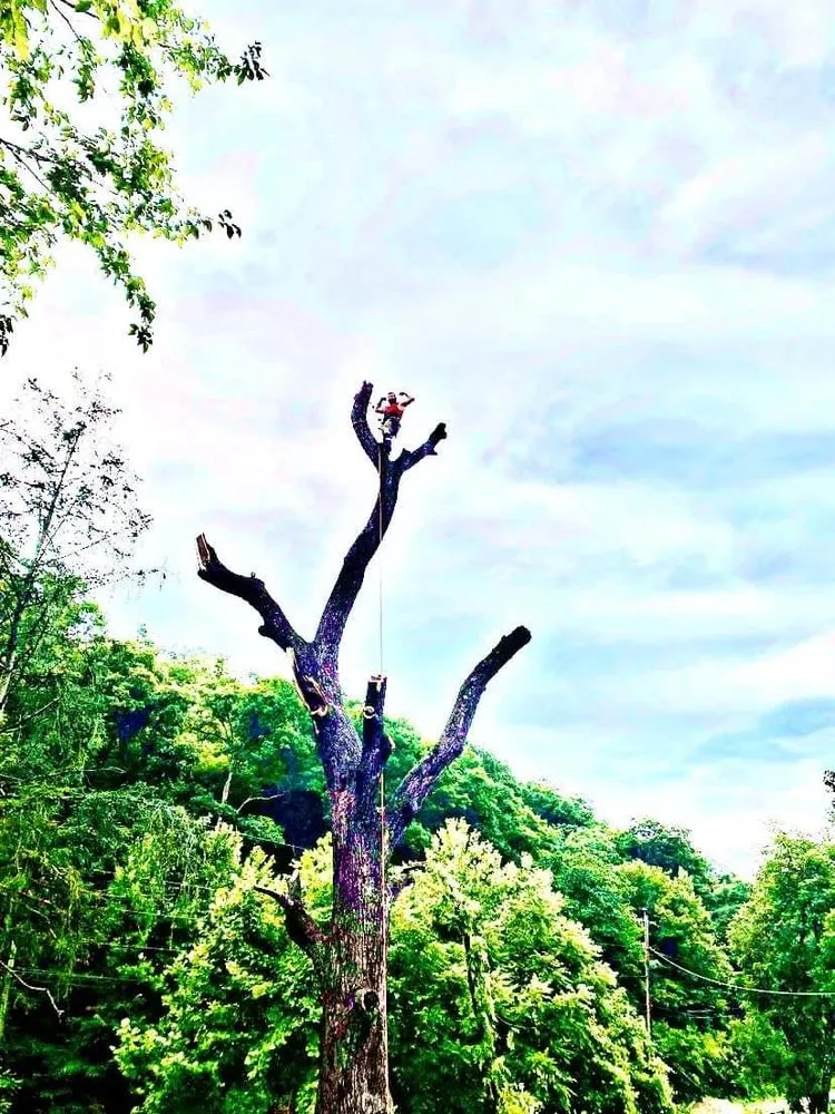 Professional outdoor landscaping for year-round maintenance in Huntington, WV by Lawncare by Brandon Landscape & Tree Service