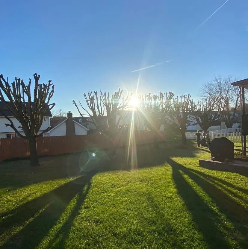 Professional yard maintenance in Huntington, WV - Lawncare by Brandon Landscape & Tree Service