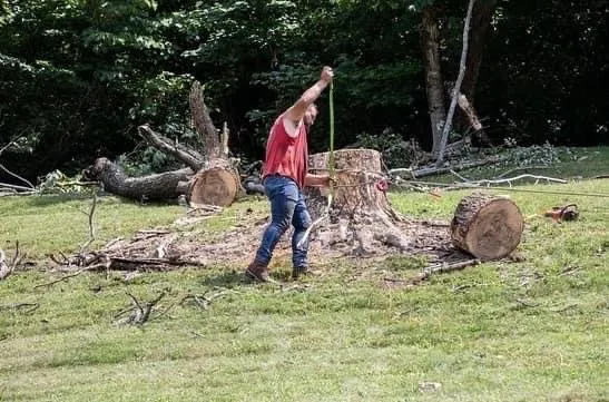 Affordable landscaping services for outdoor upgrades in Huntington, WV by Lawncare by Brandon Landscape & Tree Service