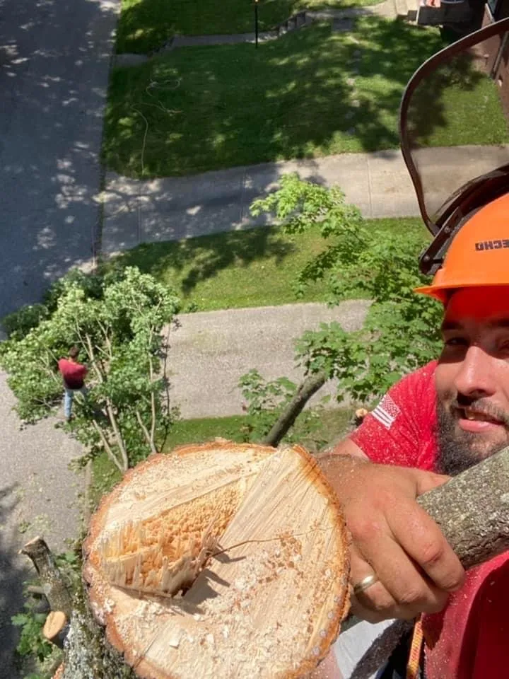 Expert yard cleanup service near you in Huntington, WV by Lawncare by Brandon Landscape & Tree Service