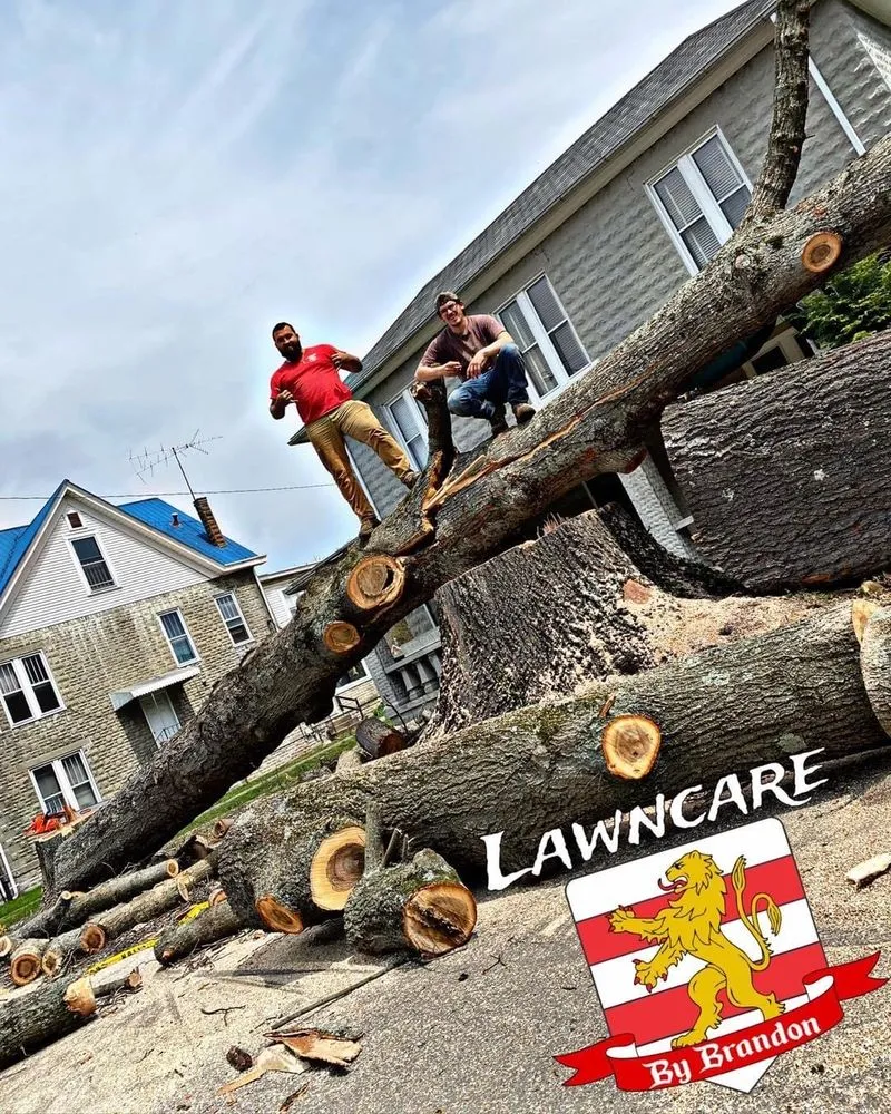 Expert yard cleanup service in Huntington, WV by Lawncare by Brandon Landscape & Tree Service