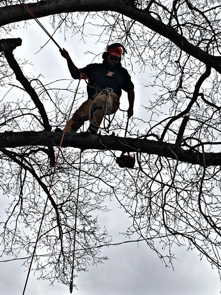 Trusted landscape design experts serving Huntington, WV - Lawncare by Brandon Landscape & Tree Service