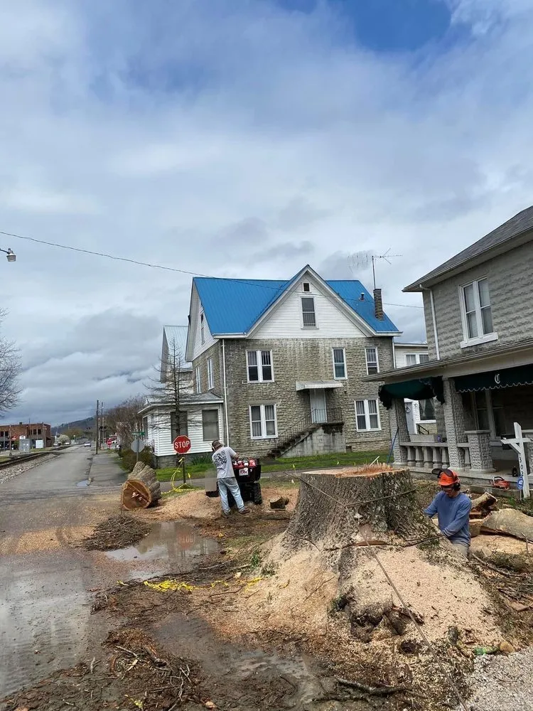 Trusted yard cleanup service with custom design in Huntington, WV by Lawncare by Brandon Landscape & Tree Service