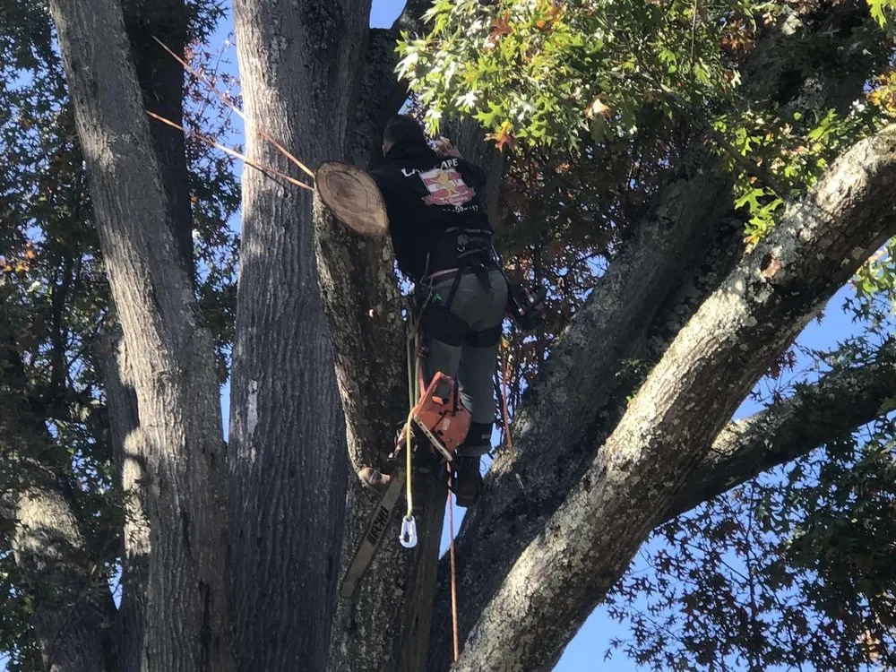 Custom landscape design experts serving Huntington, WV - Lawncare by Brandon Landscape & Tree Service