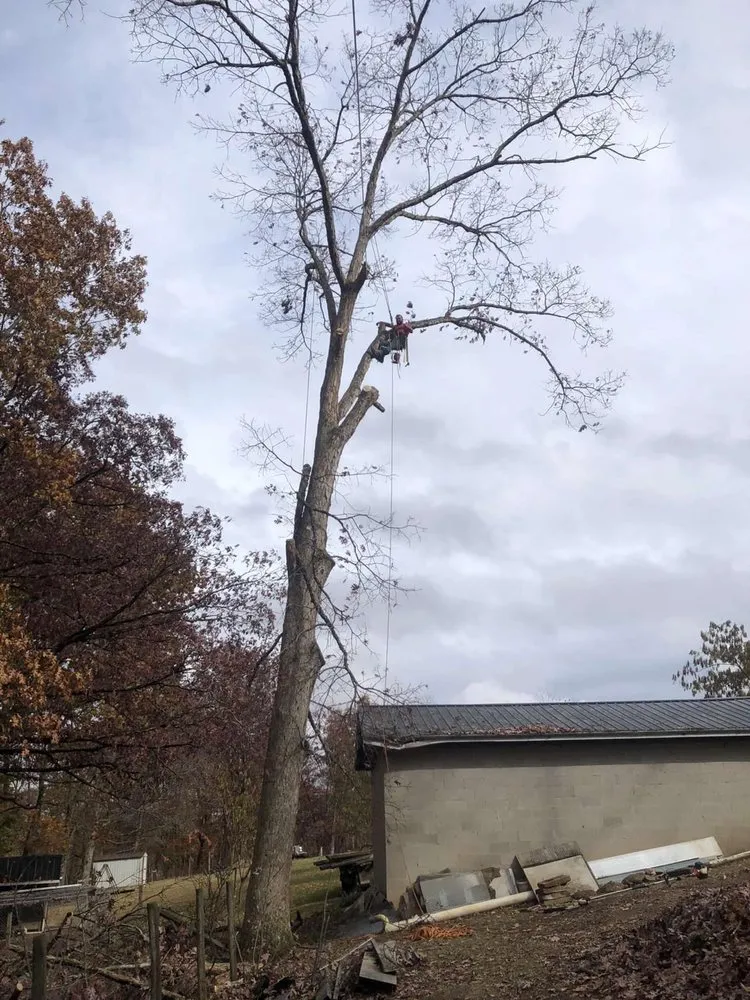 Trusted landscaping services for homes across Huntington, WV - Lawncare by Brandon Landscape & Tree Service