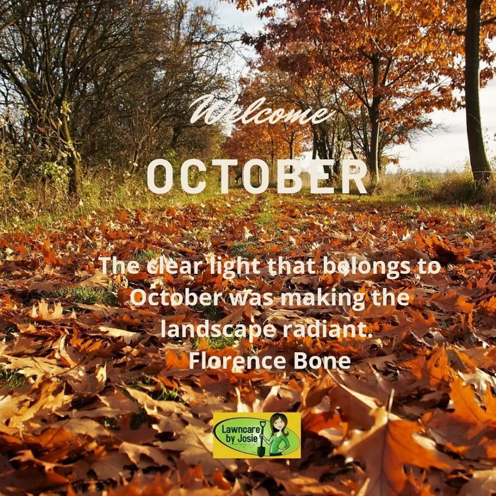 Local outdoor landscaping for year-round maintenance across Carrollton, TX - Lawncare by Josie