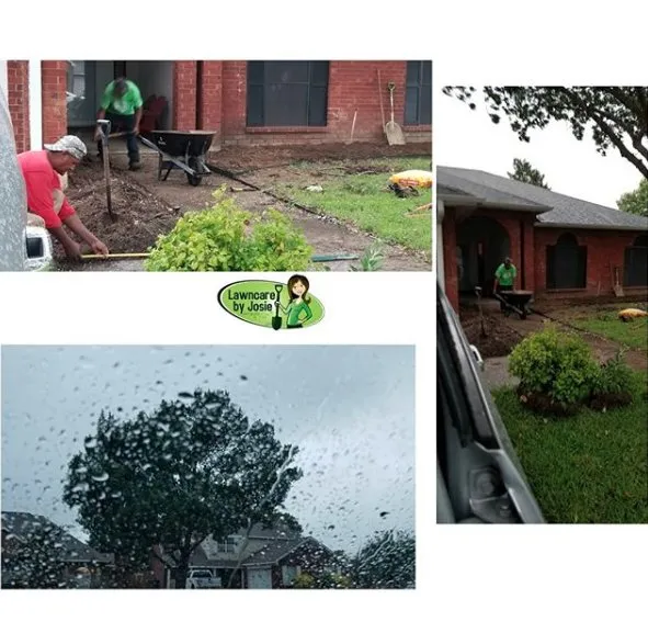 Affordable lawn care service in Carrollton, TX - Lawncare by Josie