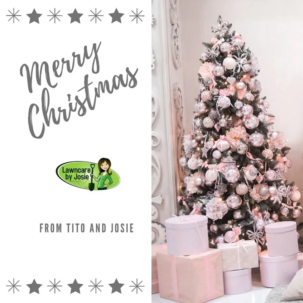 Local yard maintenance in Carrollton, TX by Lawncare by Josie