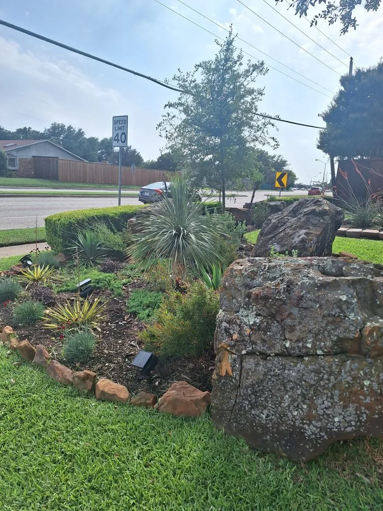 Expert yard cleanup service in Carrollton, TX - Lawncare by Josie