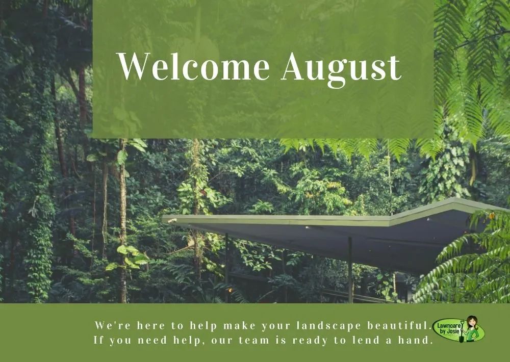 Professional landscape installation with custom design across Carrollton, TX - Lawncare by Josie