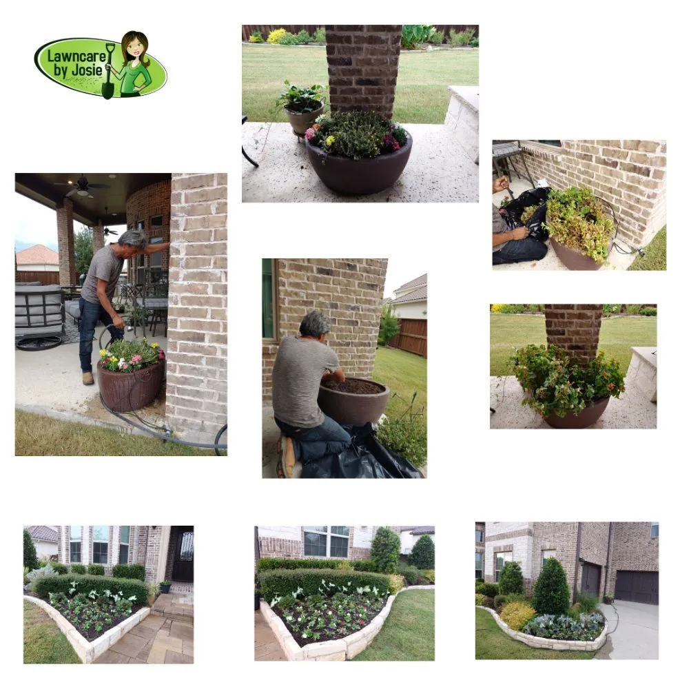 Reliable lawn care service in Carrollton, TX - Lawncare by Josie