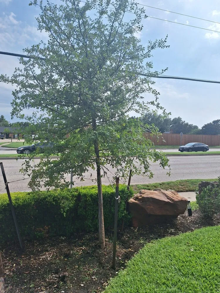 Trusted landscape installation in Carrollton, TX - Lawncare by Josie