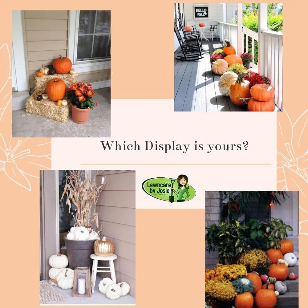 Reliable lawn mowing service in Carrollton, TX - Lawncare by Josie