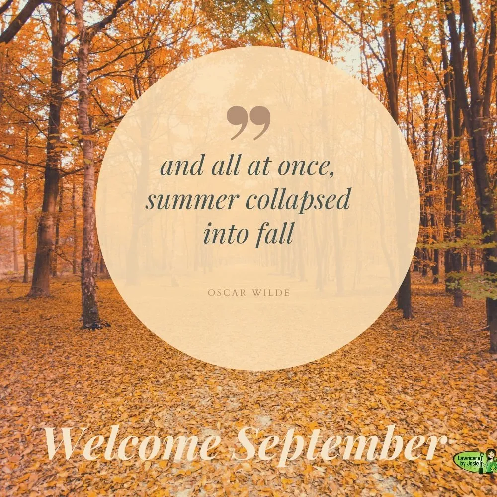 Reliable yard maintenance experts serving Carrollton, TX - Lawncare by Josie