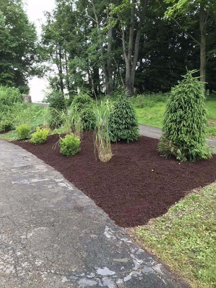 Affordable yard cleanup service in New Kensington, PA by Lawncare By O'Neil