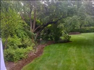 Expert yard maintenance experts serving New Kensington, PA - Lawncare By O'Neil