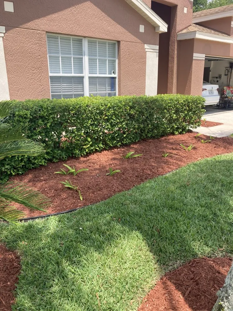 Trusted lawn mowing service in Tampa, FL by Lawncare in Carrollwood