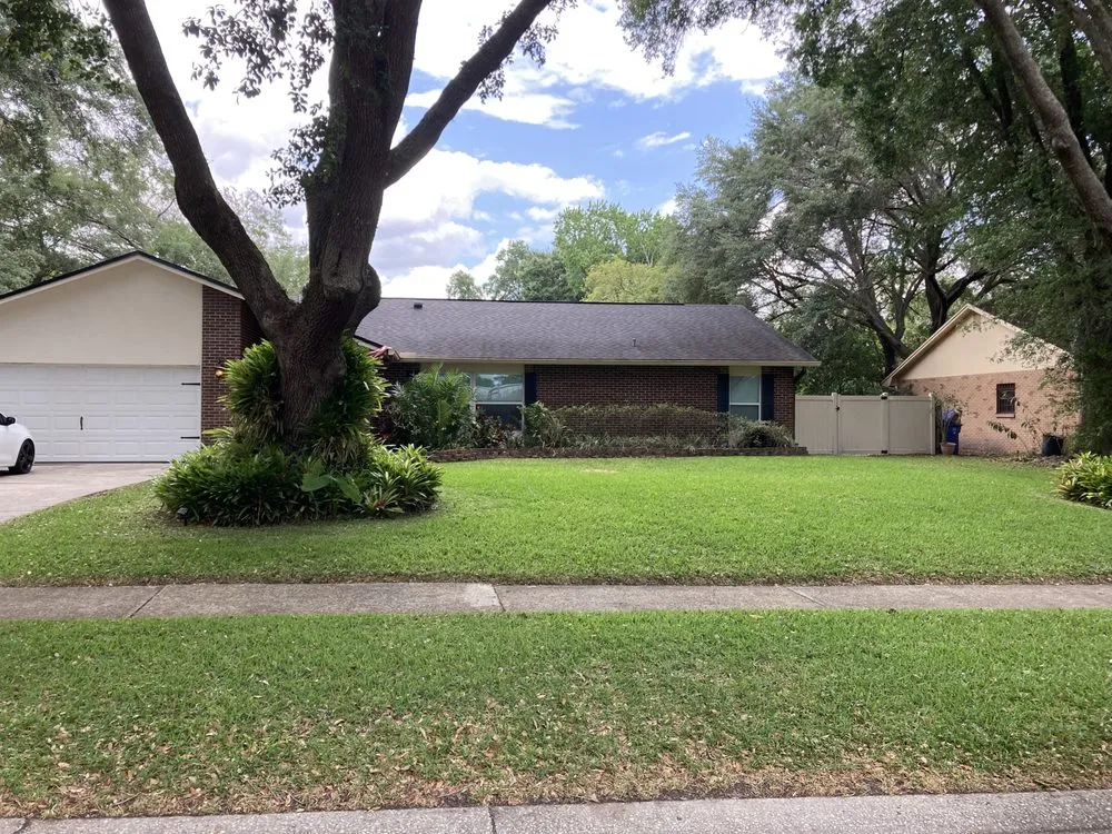 Reliable landscape design near you across Tampa, FL - Lawncare in Carrollwood