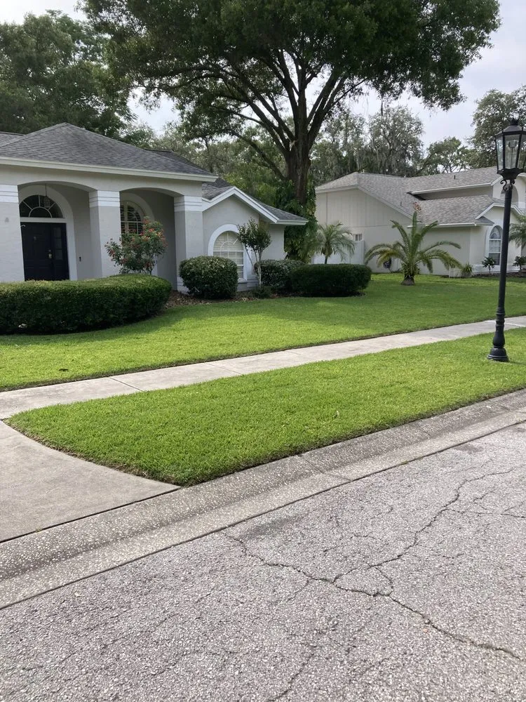 Top-rated landscape design for beautiful yards across Tampa, FL - Lawncare in Carrollwood