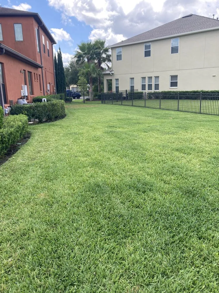 Reliable residential landscaping for outdoor upgrades in Tampa, FL by Lawncare in Carrollwood