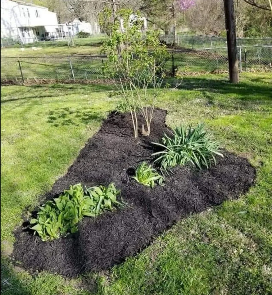 Expert garden landscaping in Belton, MO - Lawncare Landscape and Beyond