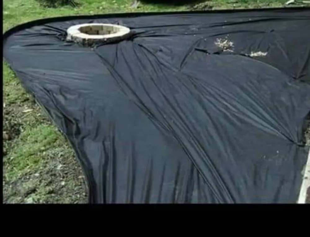 Top-rated landscape design for beautiful yards in Belton, MO by Lawncare Landscape and Beyond