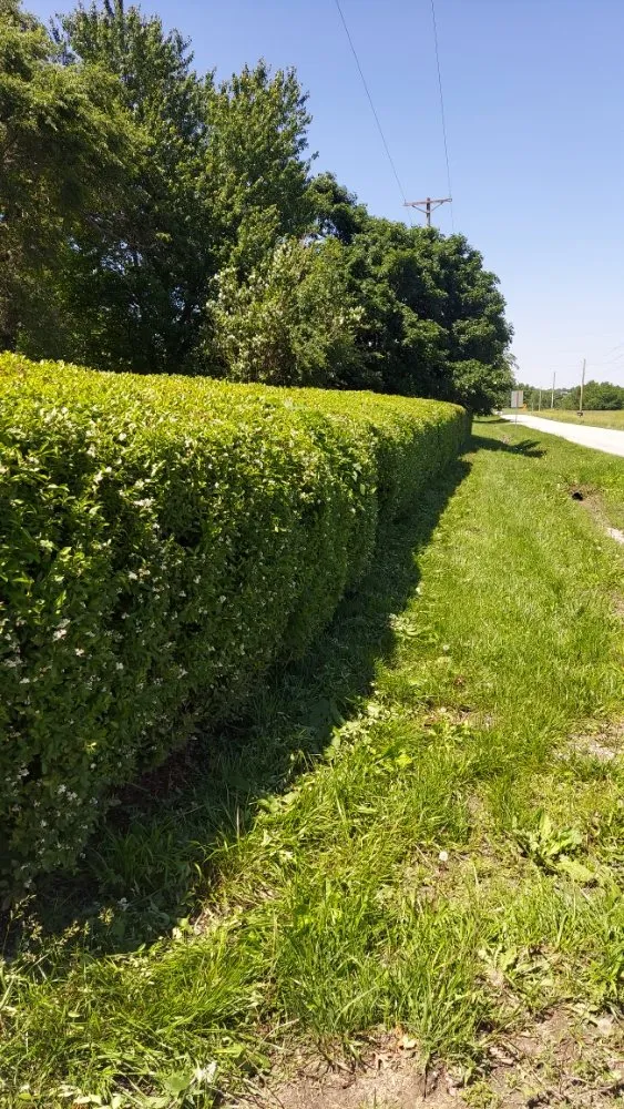 Top-rated lawn care service in Belton, MO - Lawncare Landscape and Beyond