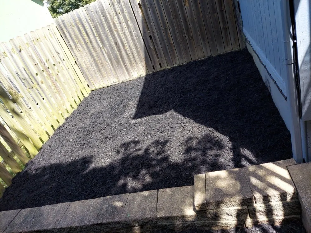 Affordable lawn care service in Belton, MO by Lawncare Landscape and Beyond