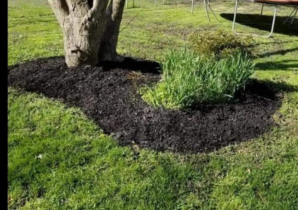 Local landscape design experts serving Belton, MO - Lawncare Landscape and Beyond