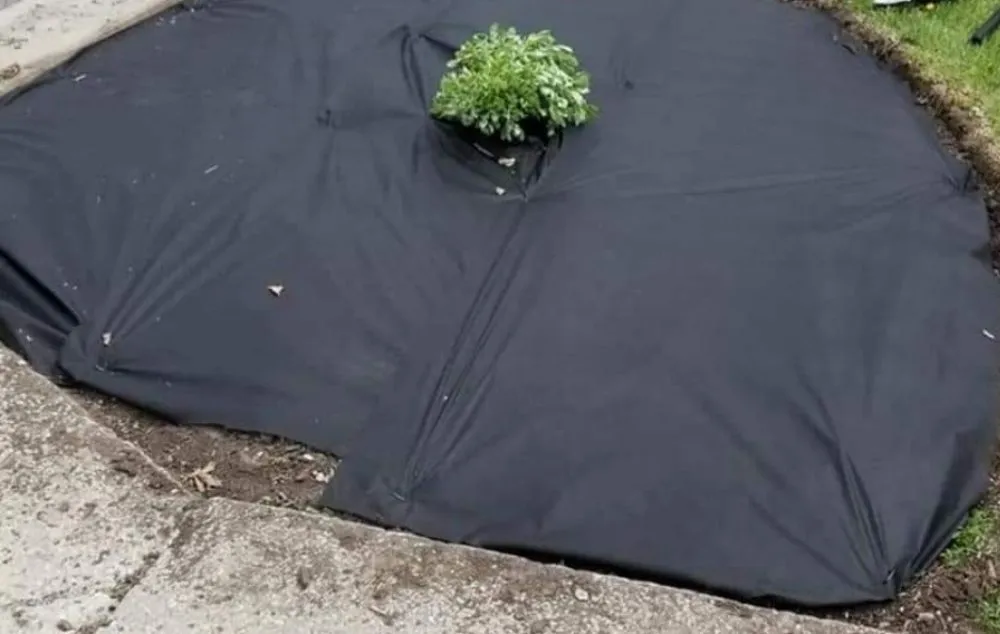 Reliable lawn mowing service experts serving Belton, MO - Lawncare Landscape and Beyond