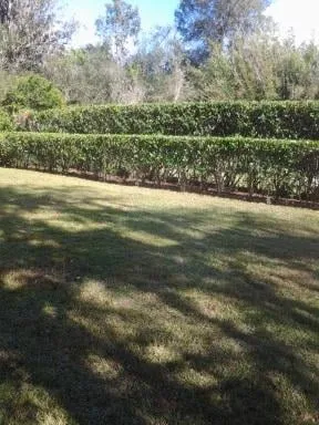 Professional outdoor landscaping in Floral City, FL by Lawncare-N-More