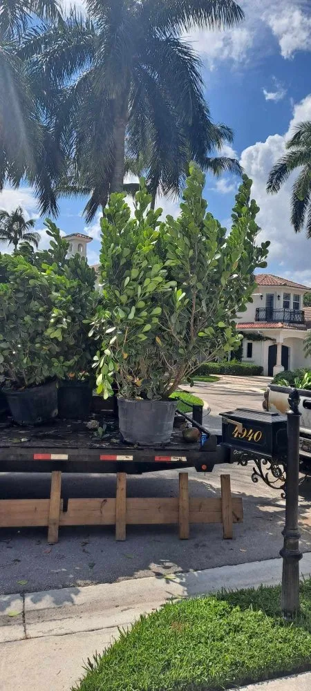 Local yard cleanup service for residential properties across Fort Lauderdale, FL - Lawncare of Florida