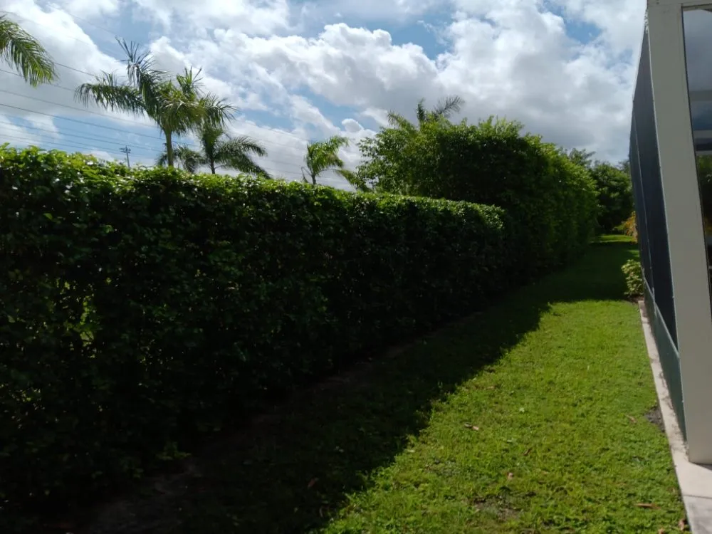 Professional lawn care service in Fort Lauderdale, FL by Lawncare of Florida