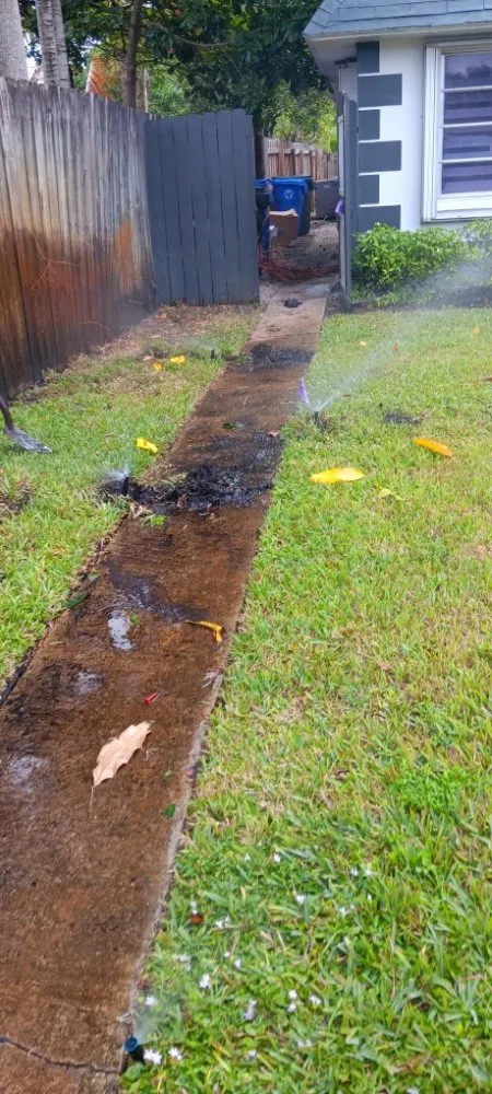 Custom landscape installation in Fort Lauderdale, FL - Lawncare of Florida